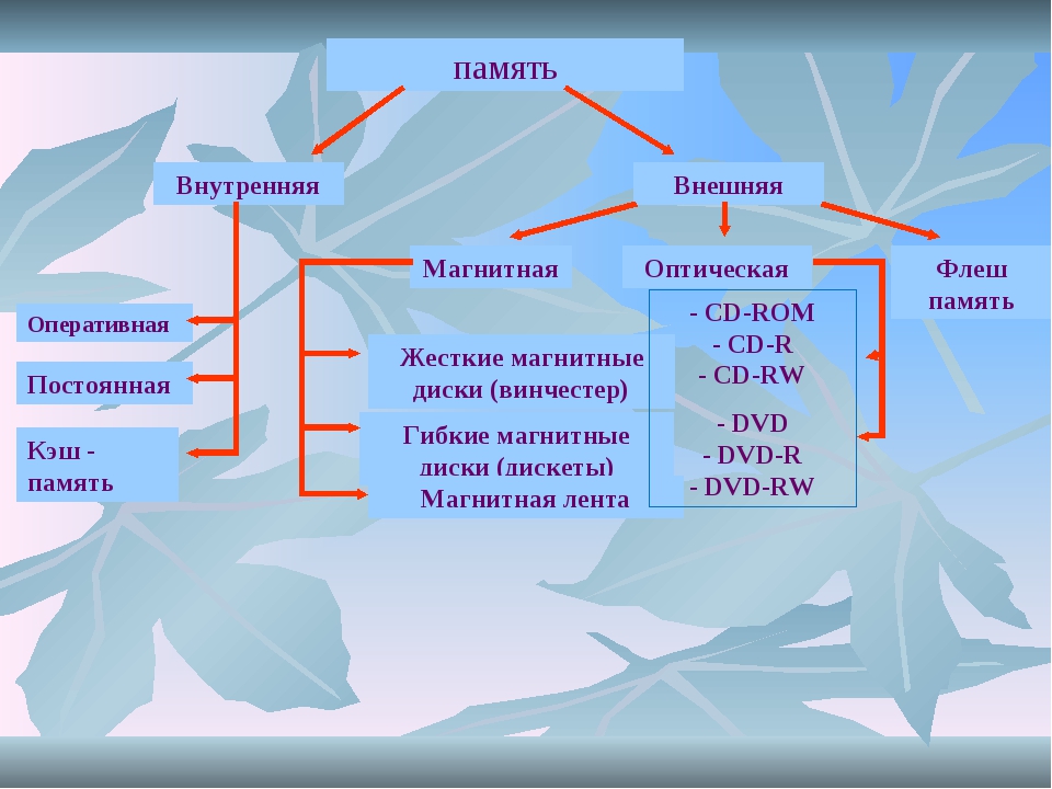 Что такое память компьютера 7 класс информатика