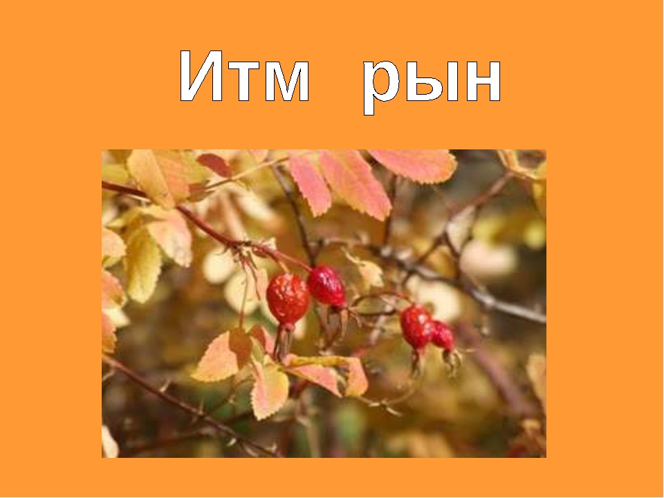 Қызыл кітап презентация