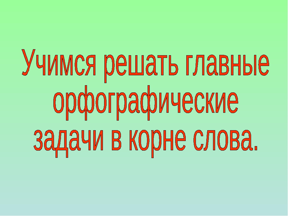 Объектив предназначенный для получения искаженного изображения неодинакового по масштабу 9 букв