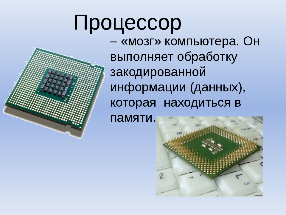 Что подключается к компьютеру 5 класс информатика