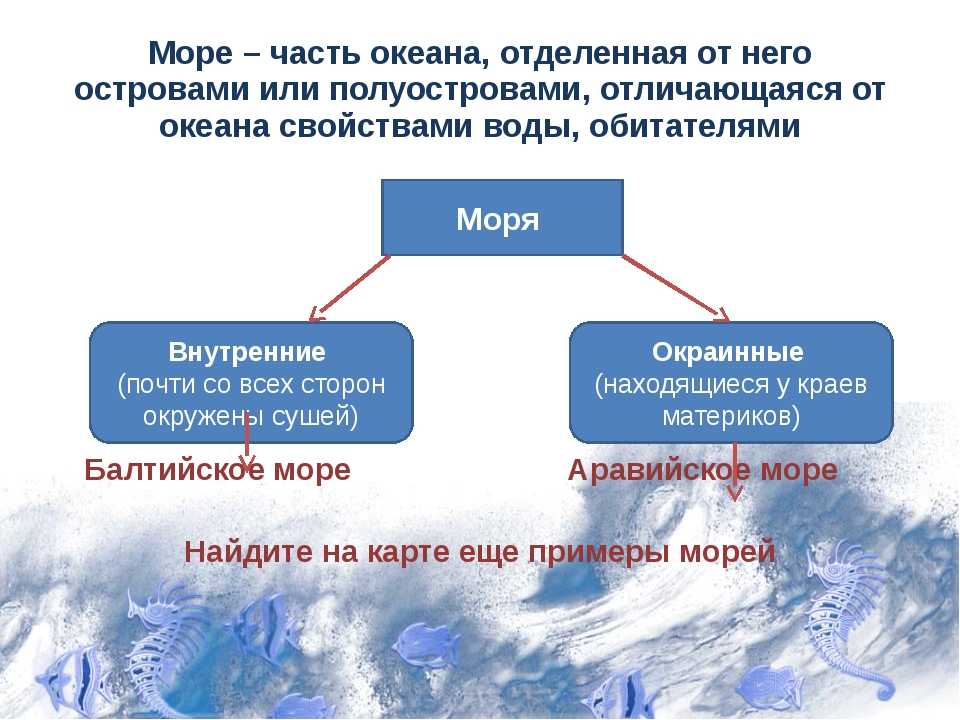 Море определение. Части океана. Части мирового океана. География части мирового океана. Море часть мирового океана.