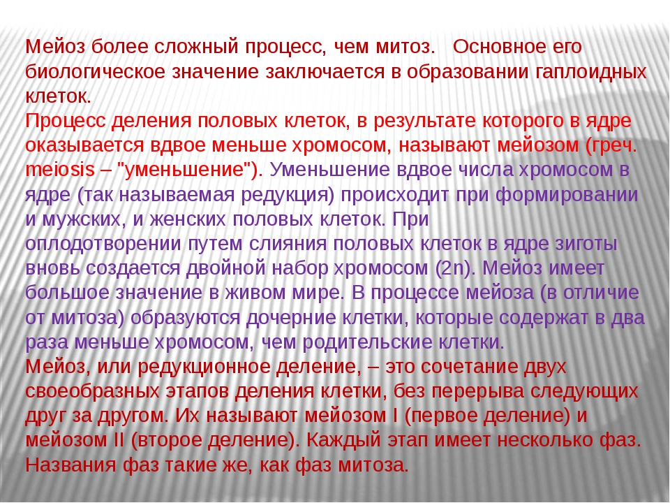 Мейоз презентация 10 класс профильный уровень