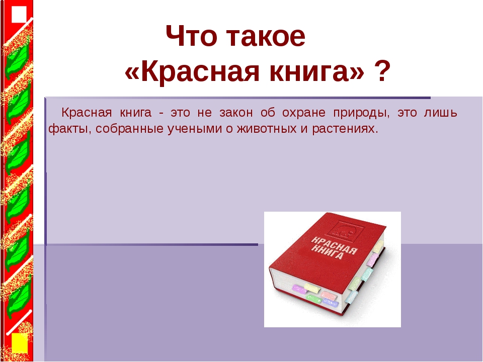 Презентация красная книга рб для детей