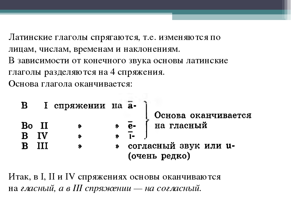 Латынь глаголы. Спряжение глаголов латынь. Как определить глагол в латинском. Спряжение глаголов в латинском языке. 4 Спряжения глаголов в латинском языке.