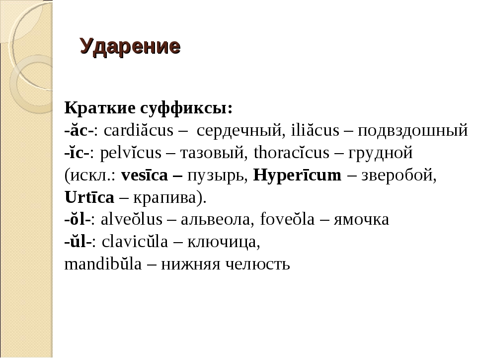 Правила ударения в английском языке. Vertebralis ударение в латинском.