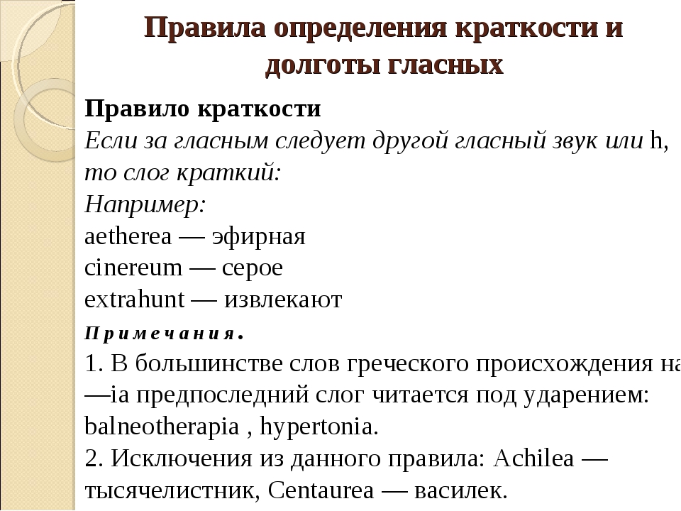 Долгота и краткость латинский язык. Правила долготы и краткости в латинском языке. Долгота краткость гласных. Правило долготы и краткости. Долгота и краткость гласных в латыни.