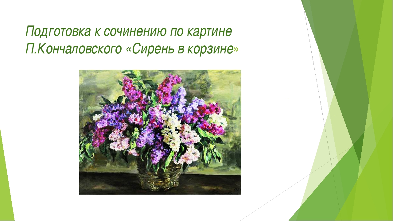 Кончаловский сирень 5 класс. По картине п п Кончаловского сирень в корзине. Картина п п Кончаловского сирень в окне. Сирень в корзине Кончаловский 5 класс. П. Кончаловский «сирень в корзине». (1933 Год).