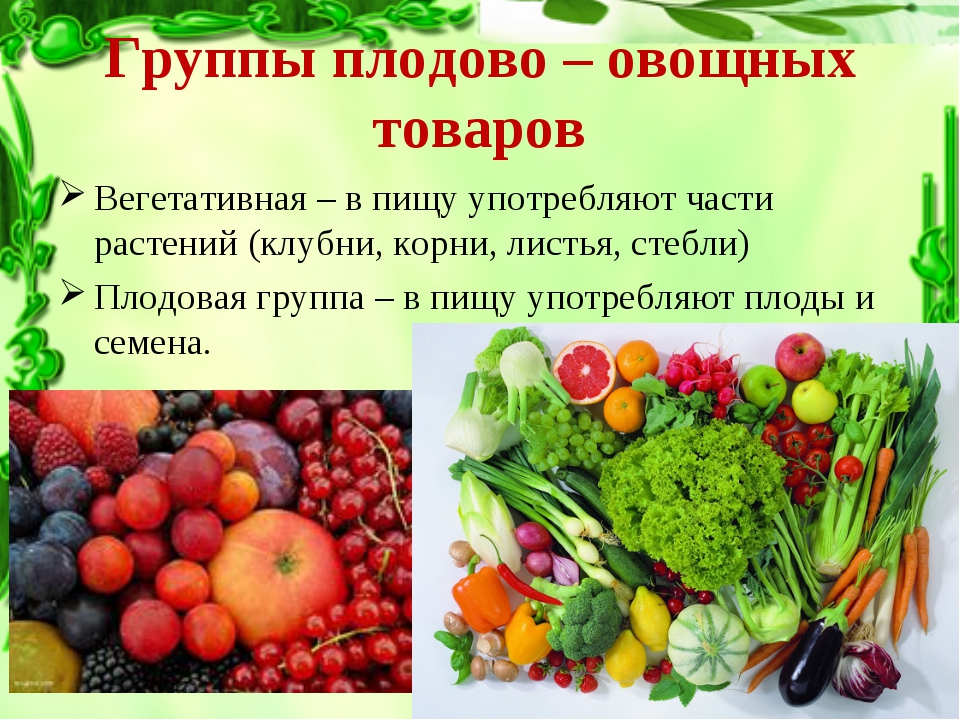 Плодовая продукция. Плодовые овощные растения. Вегетативные и плодовые овощи. Классификация плодов и овощей. Классификация плодоовощных товаров.