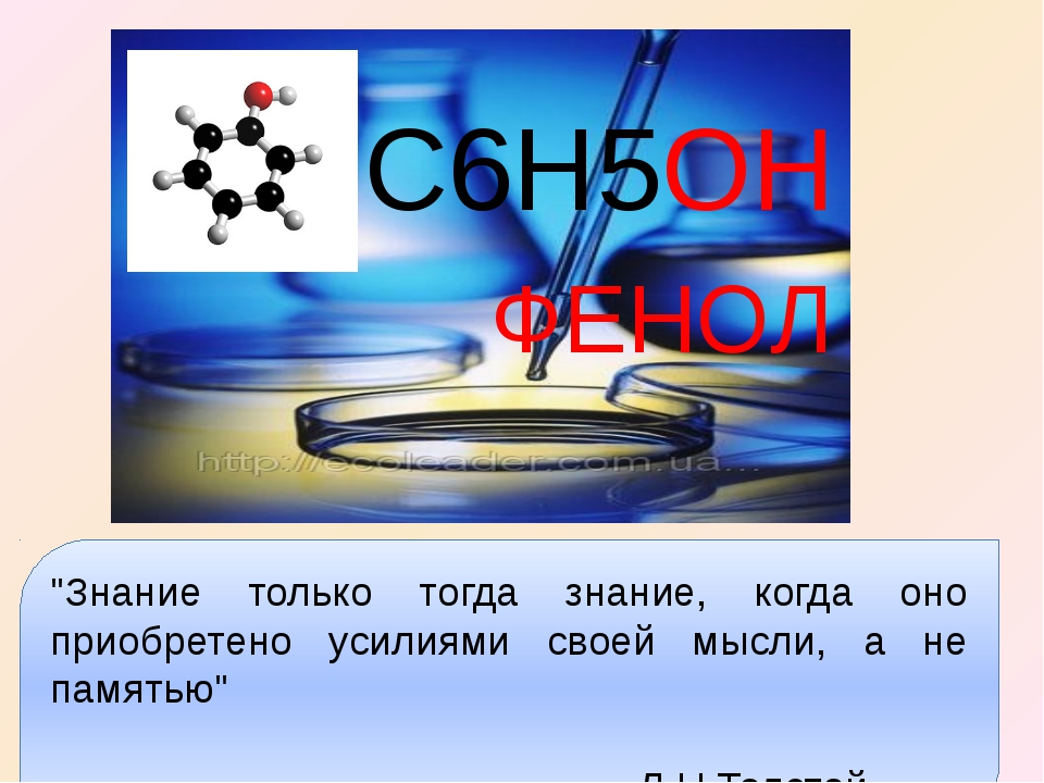 Фенол проект по химии