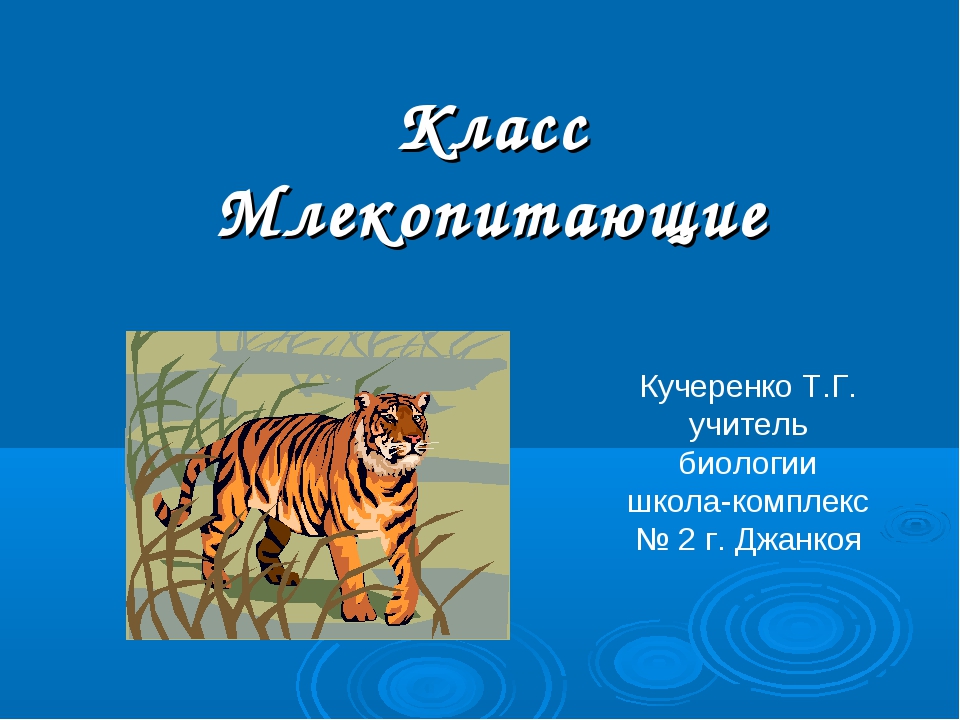 Тест по теме млекопитающие 7 класс биология. Природные зоны Евразии 7 класс. Млекопитающие проект. Природные зоны Евразии презентация. Класс млекопитающие.